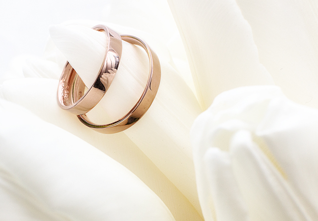 Anillos de Novios