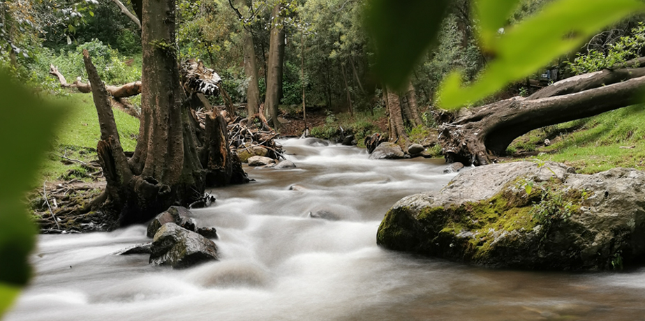 Larga exposición para rayado con agua en río en Los Dinamos en CDMX, México.